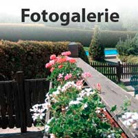 Fotogalerie Fotogalerie